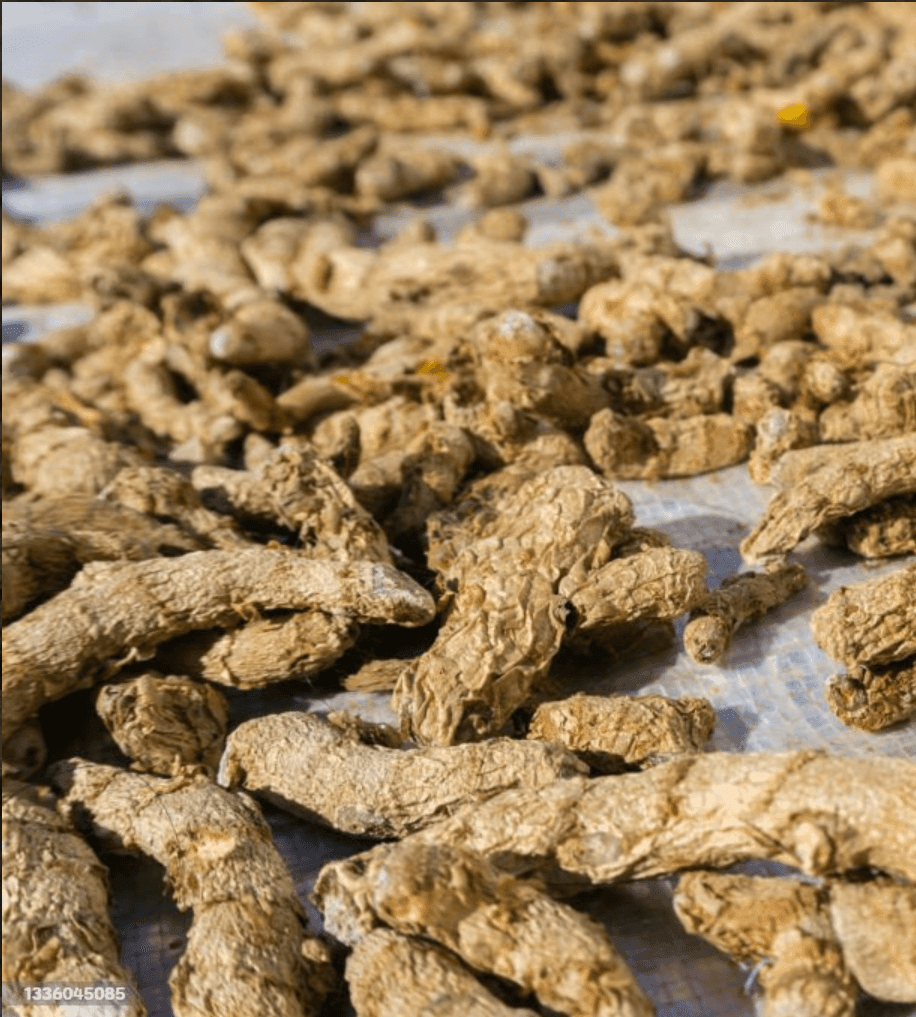 Dry Ginger