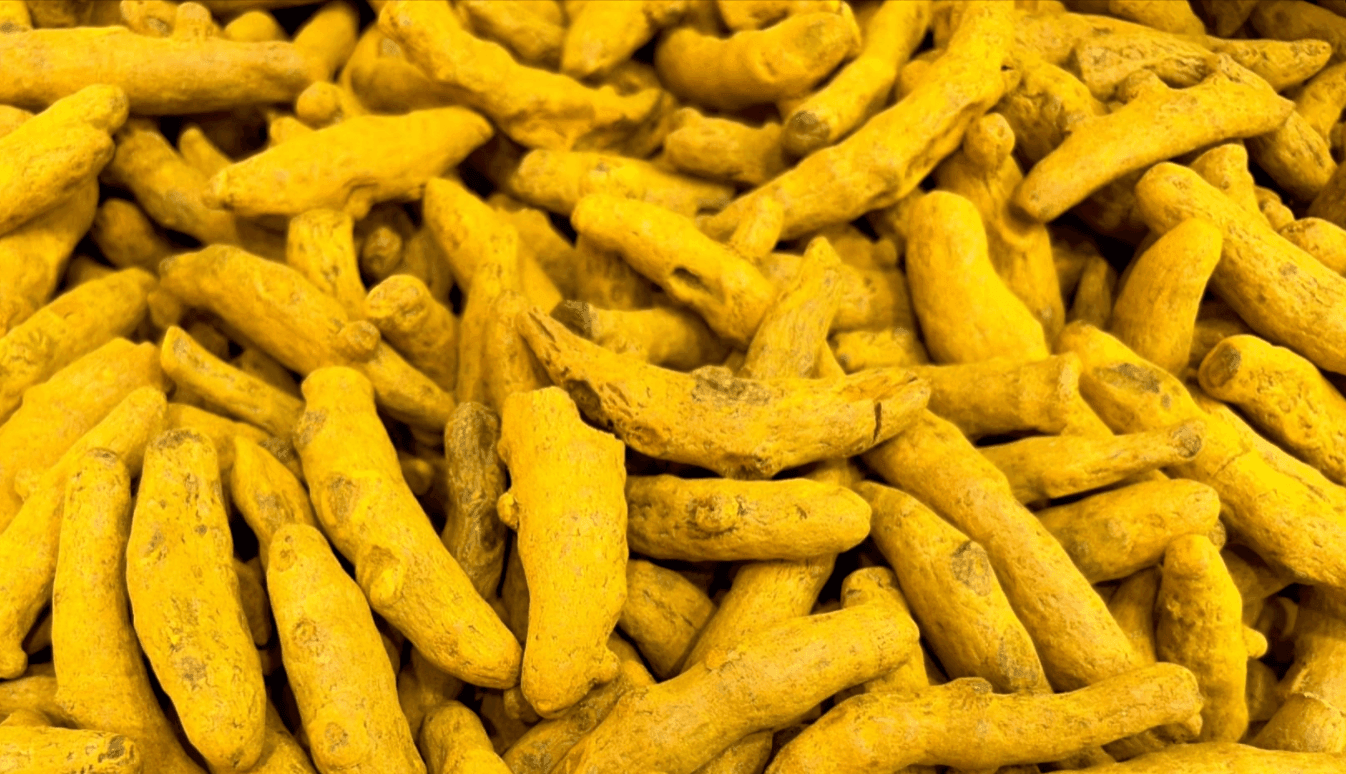 Dry Turmeric Finger(Curcumin)